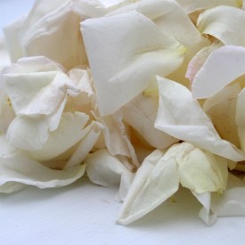 Pétales de Roses frais Blanc