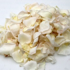 Pétales de Roses frais Blanc